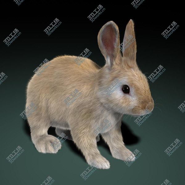 images/goods_img/20210312/Rabbit Cream (RIGGED) (FUR)/4.jpg